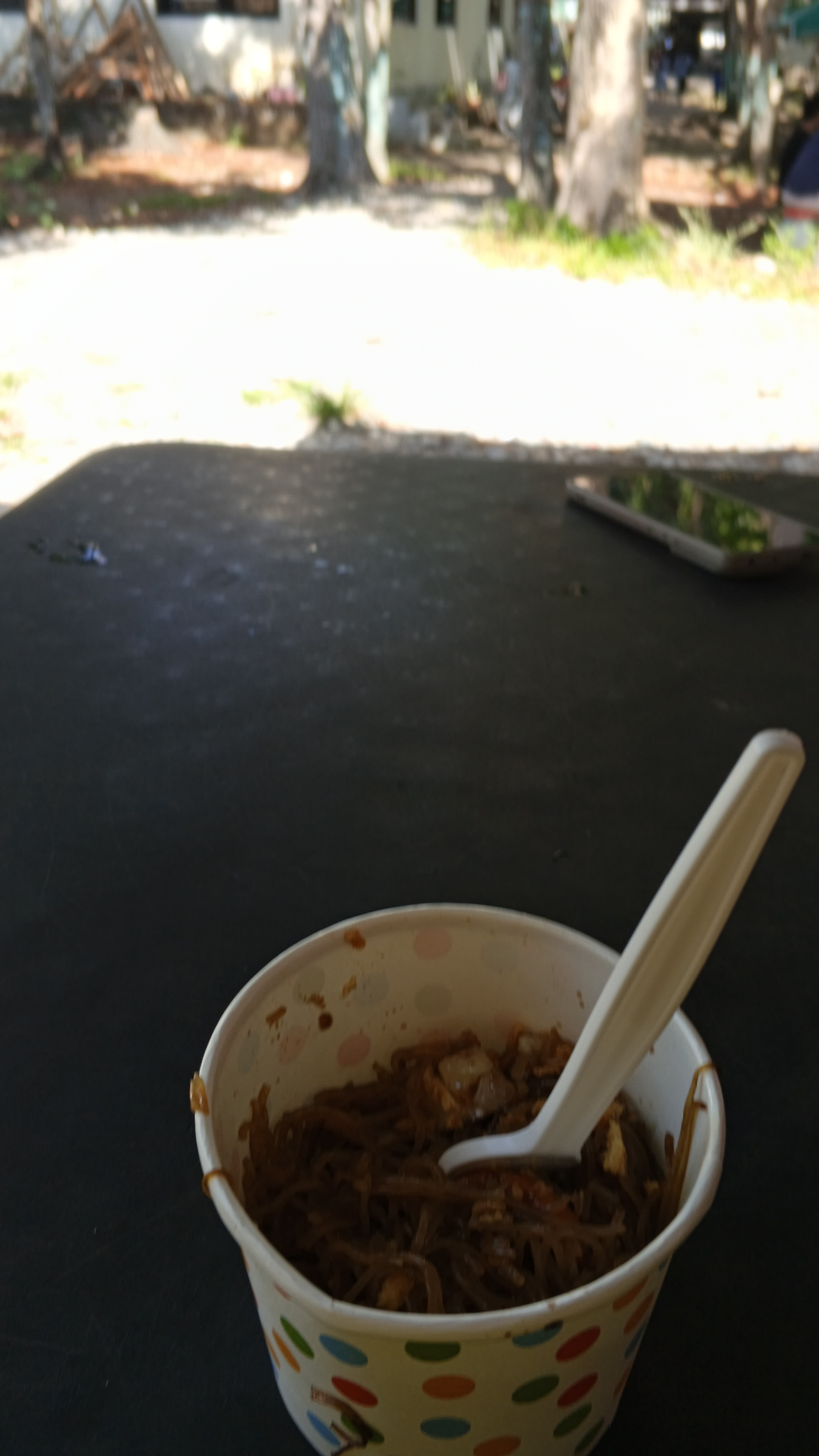 Festin Resort